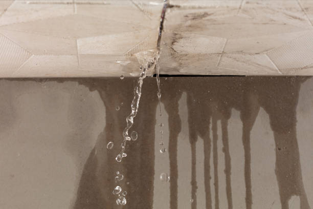Professional Sewage Cleanup technician working in Archer, FL